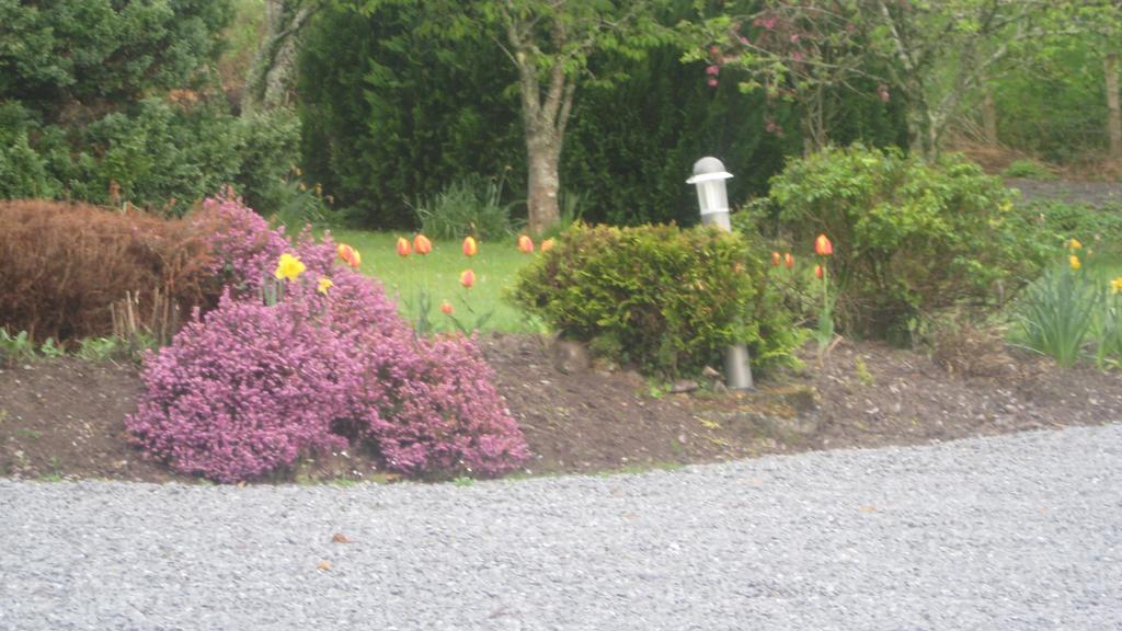 An Bruachan B&B Kenmare Eksteriør bilde